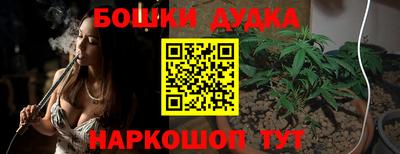 индика Ликино-Дулёво