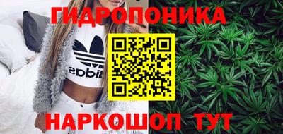 индика Ликино-Дулёво