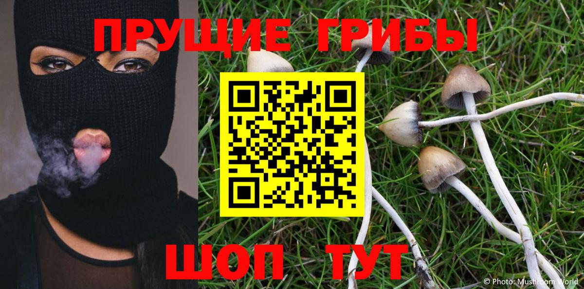Псилоцибиновые грибы MAGIC MUSHROOMS Дзержинский